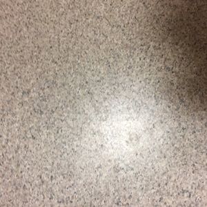 Meet your Posher, Gary